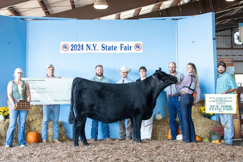AdelineTomell_Supreme_Heifer-2024.jpeg AdelineTomell_Supreme_Heifer-2024