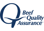BQA Logo for NYBPA