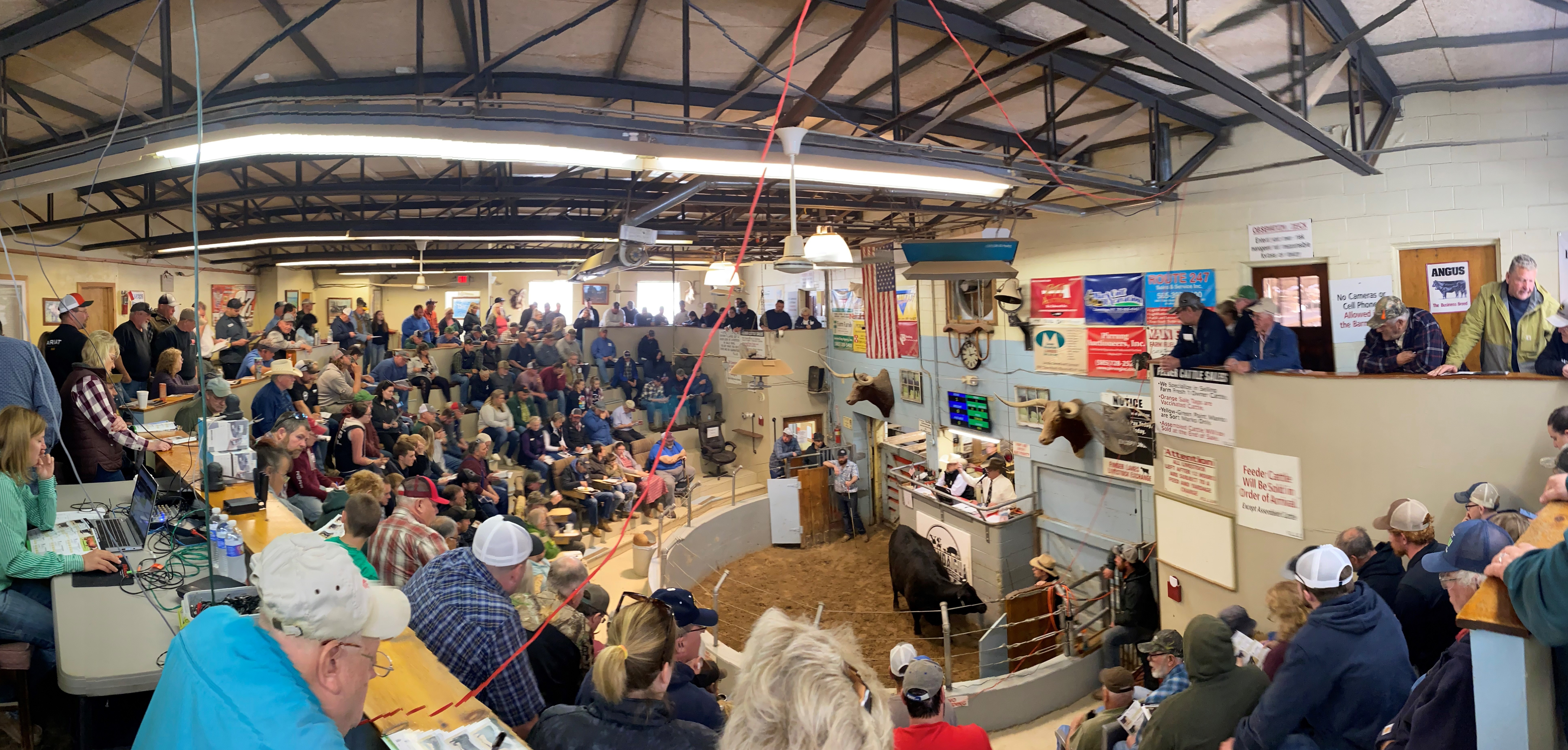 2023 Herd Builder Pano