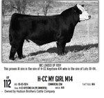hudsonbrothers_lot112
