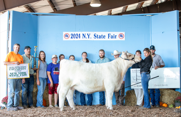 makaylasugg_reserve_heifer.png makaylasugg_reserve_heifer