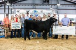 Reserve Heifer Vacinek 2023