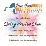 spring-preview-show_2025